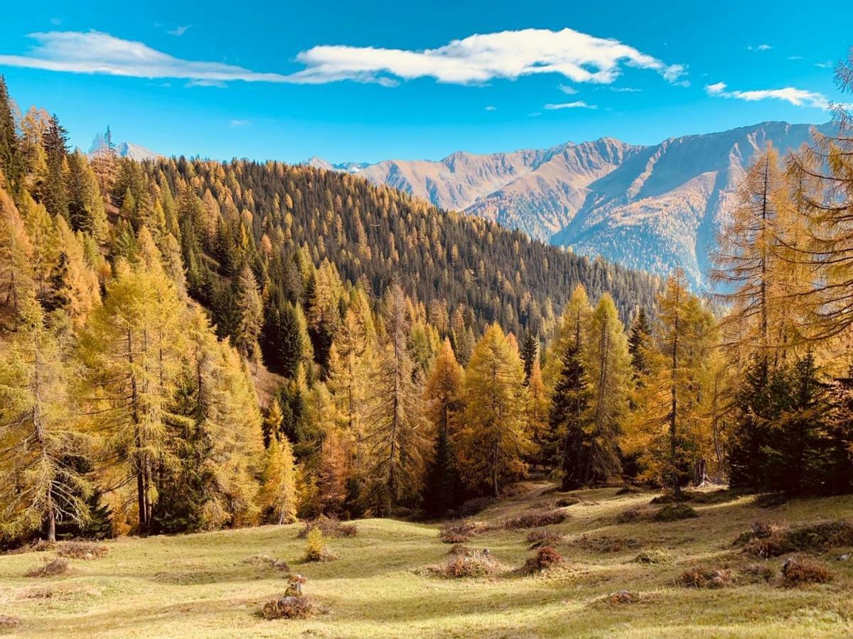 Tgesa Ferrera Ferienhaus *