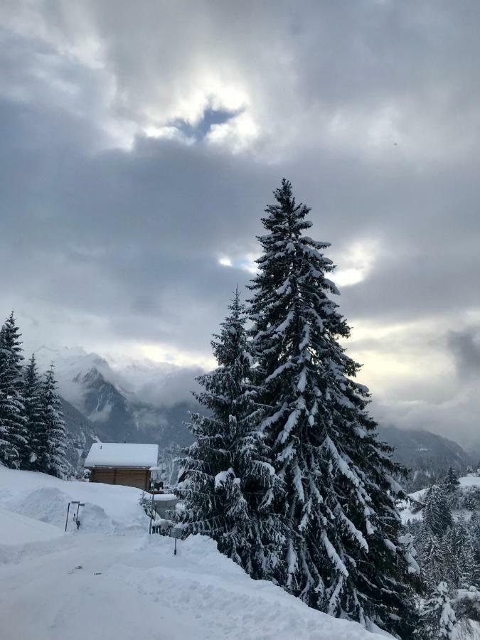 Tgesa Ferrera Ferienhaus Schmitten (Grisons)